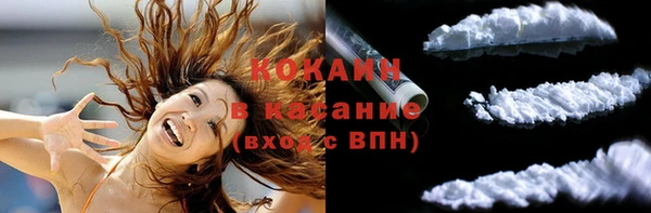 PSILOCYBIN Аркадак
